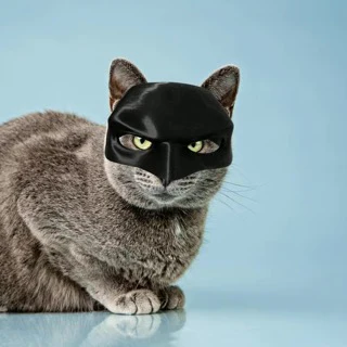 Bat Cat Mask 🐱 🦇 - Image 11