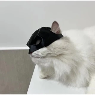 Bat Cat Mask 🐱 🦇 - Image 12