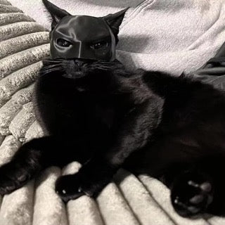 Bat Cat Mask 🐱 🦇 - Image 14