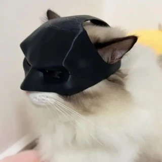 Bat Cat Mask 🐱 🦇 - Image 15