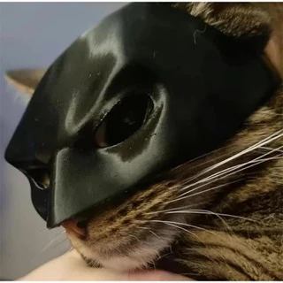 Bat Cat Mask 🐱 🦇 - Image 18