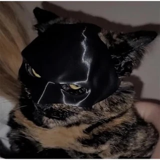 Bat Cat Mask 🐱 🦇 - Image 23