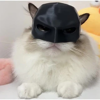 Bat Cat Mask 🐱 🦇 - Image 24
