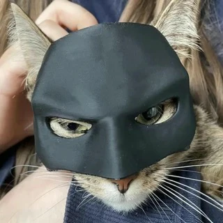 Bat Cat Mask 🐱 🦇 - Image 8