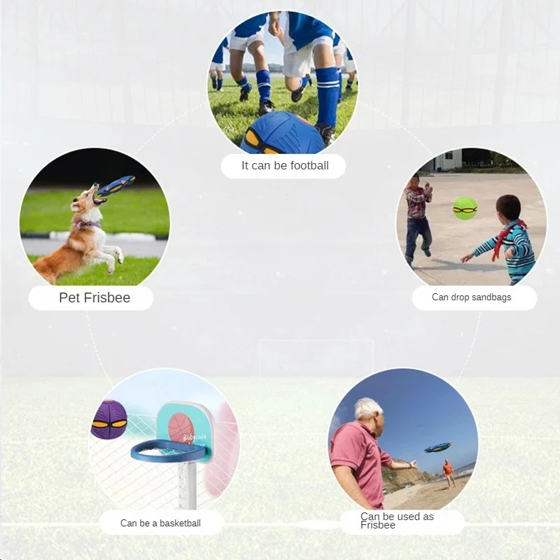 Interactive Dog Saucer Ball 🥏 - Image 17