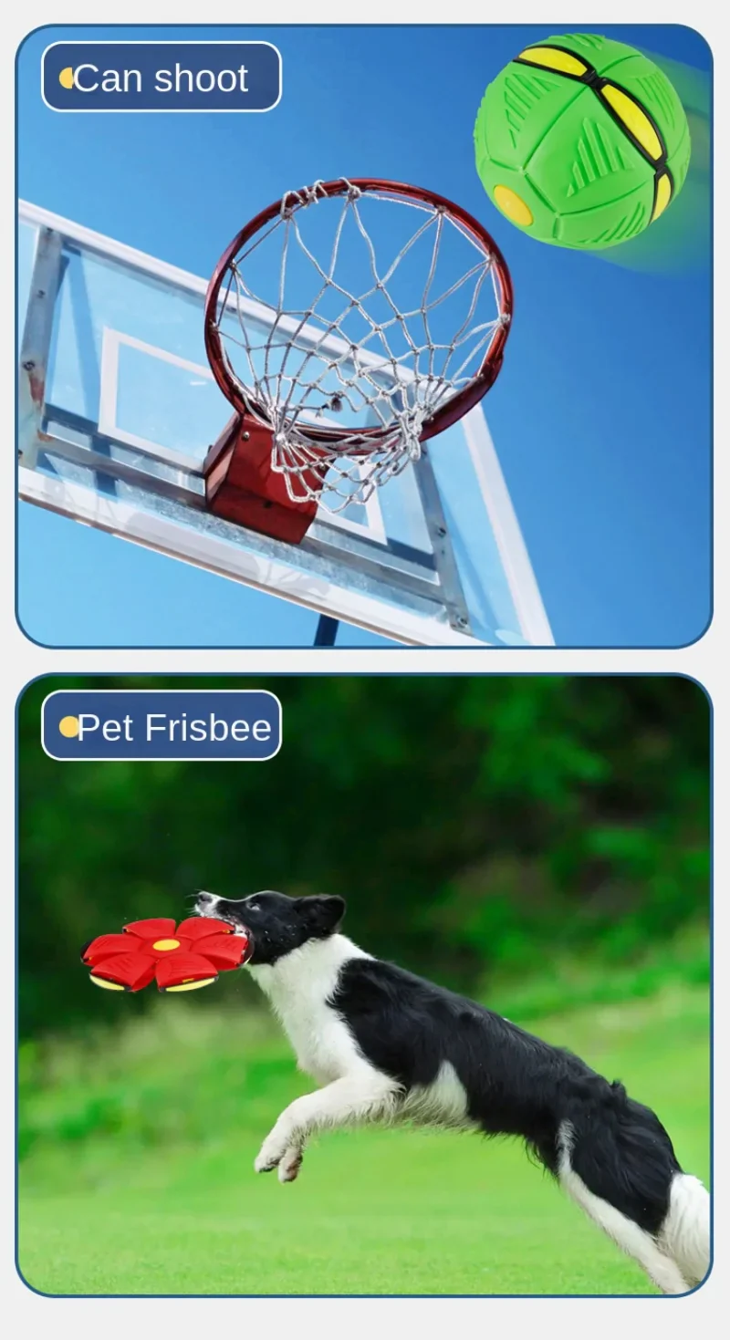 Interactive Dog Saucer Ball 🥏 - Image 19