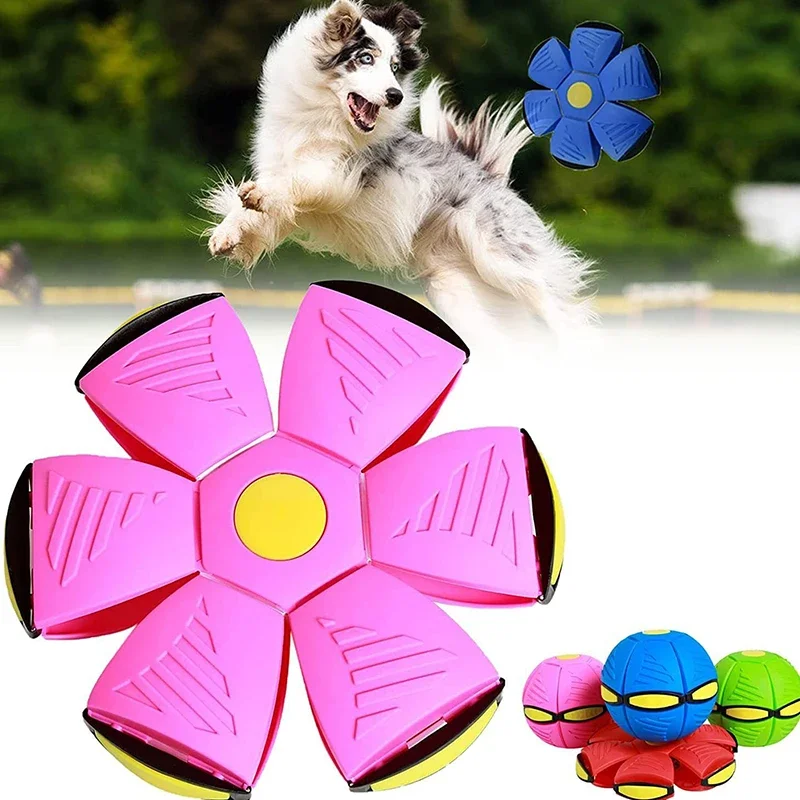 Interactive Dog Saucer Ball 🥏 - Image 4