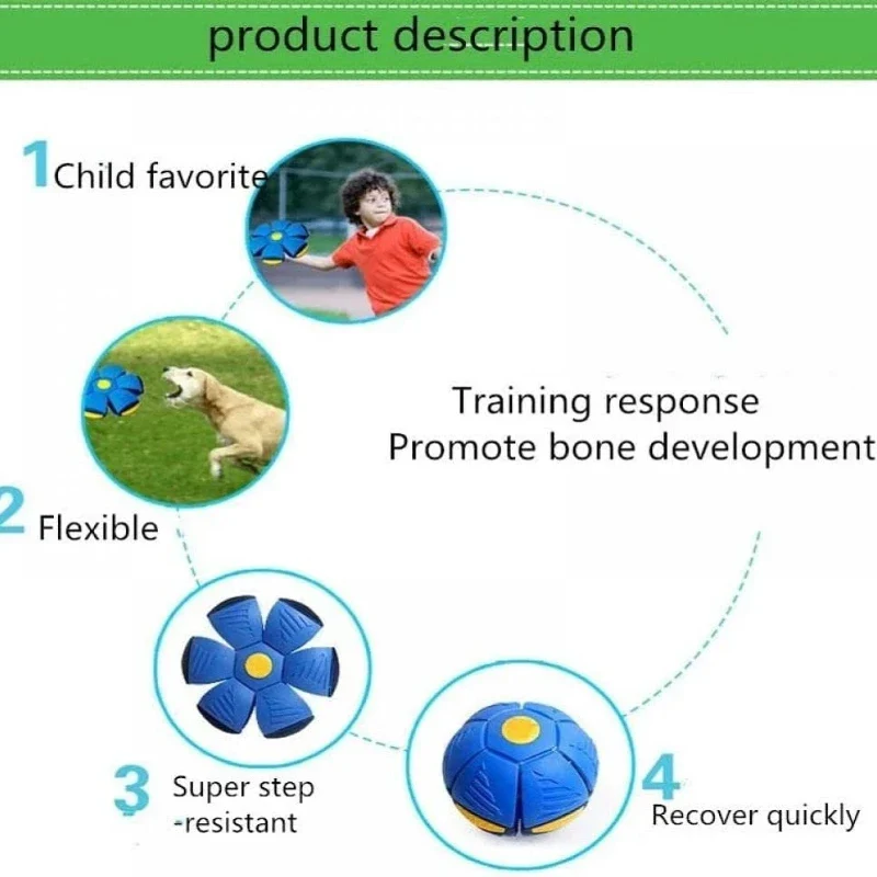 Interactive Dog Saucer Ball 🥏 - Image 6