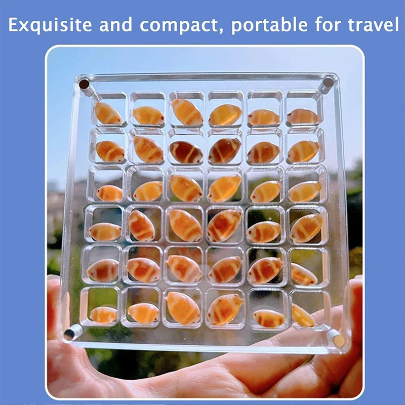 Seashell Display Box ๐ ๐ชธ - Image 5